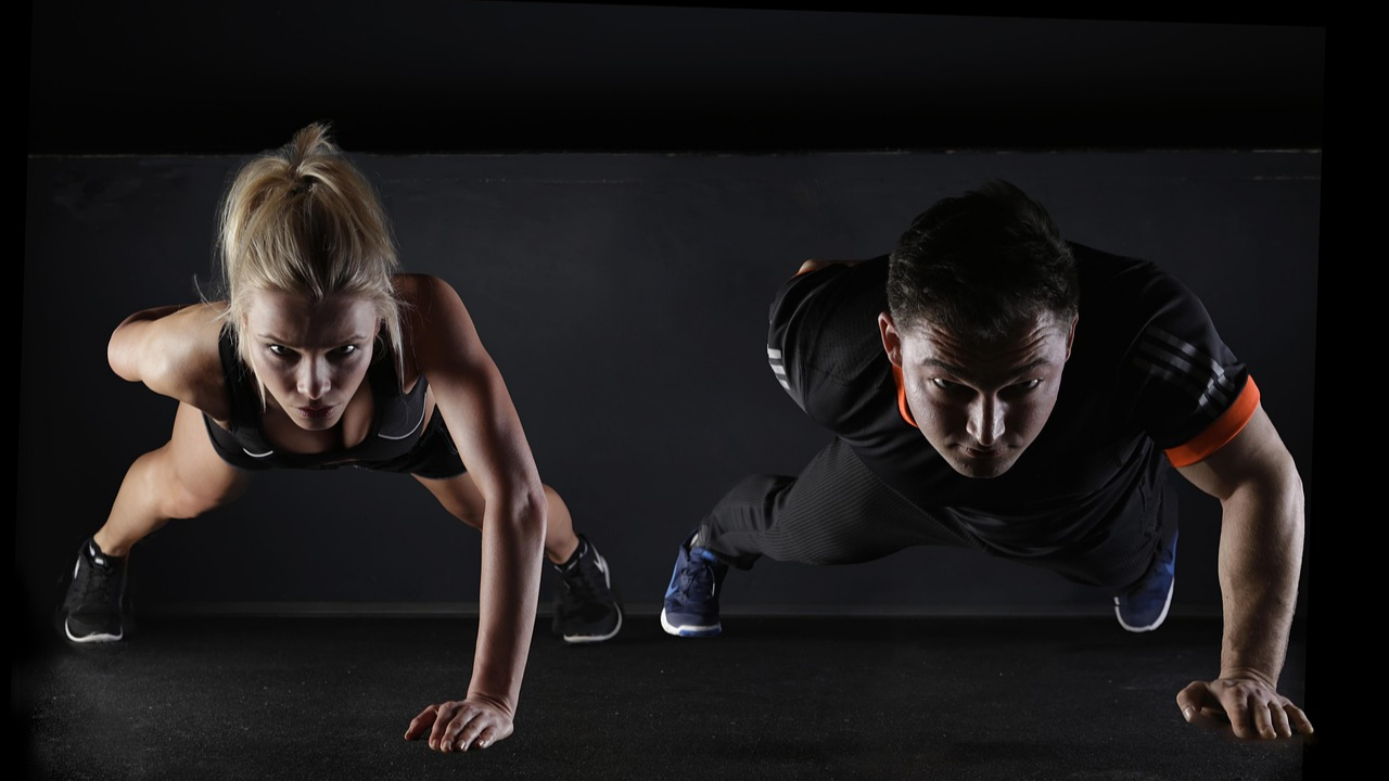 FIT20 Ürün